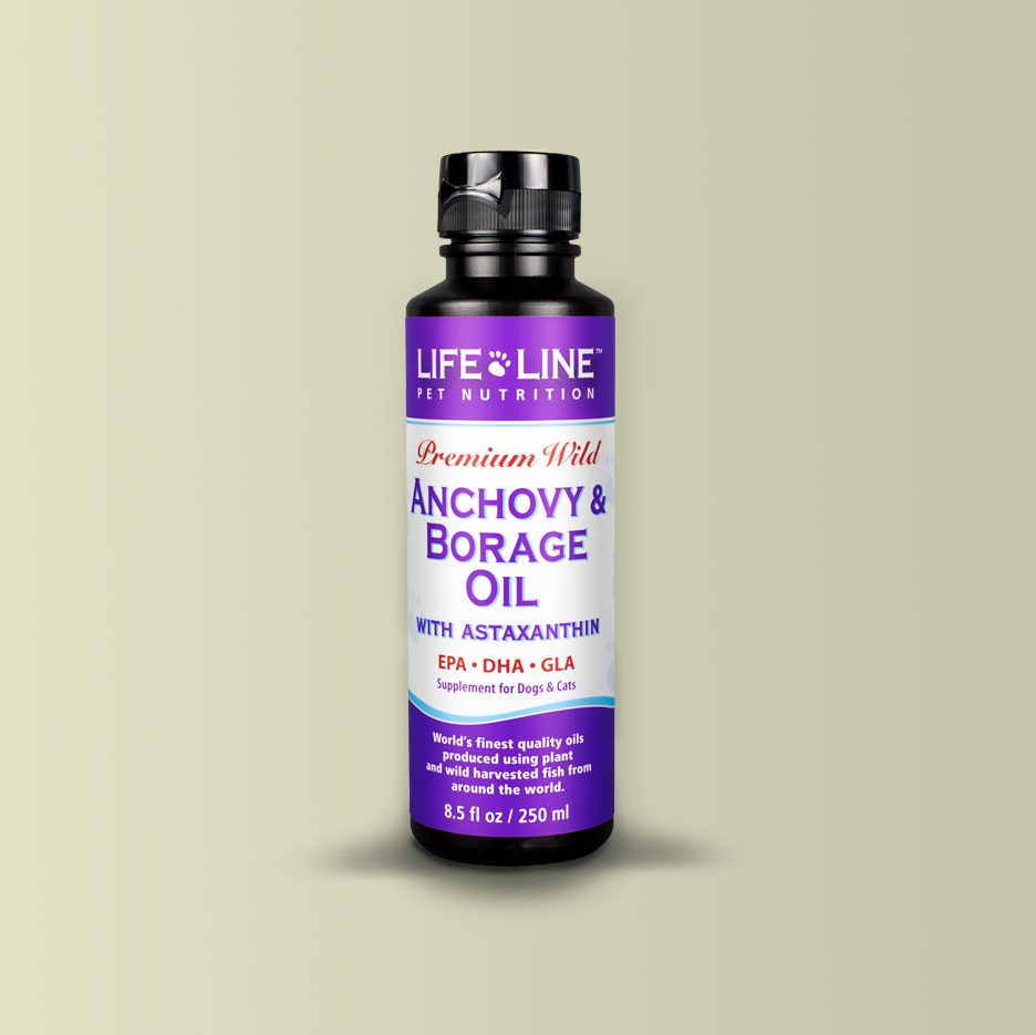 Wild Anchovy + Borage Oil